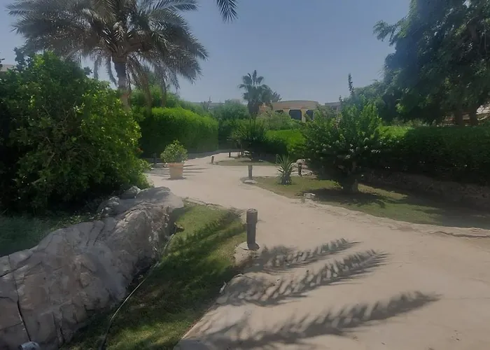 Palma M164 Apartman