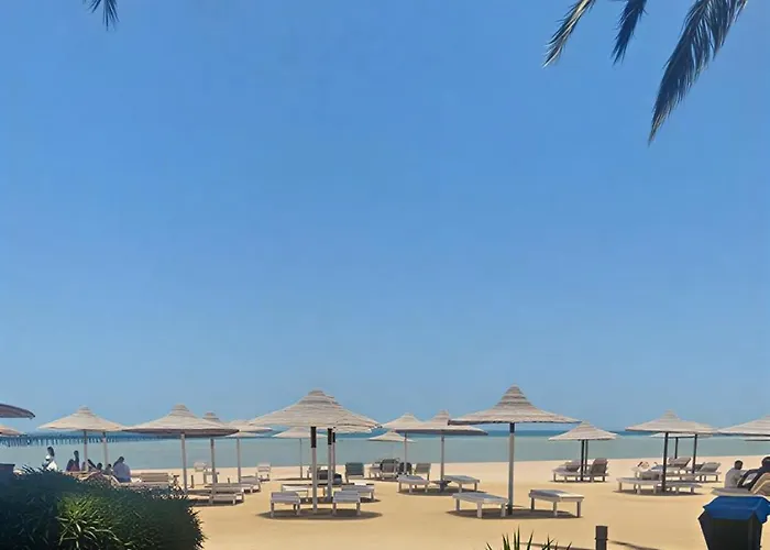 Apartman Palma M164